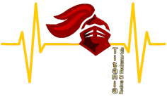 Tempus Knights - logo